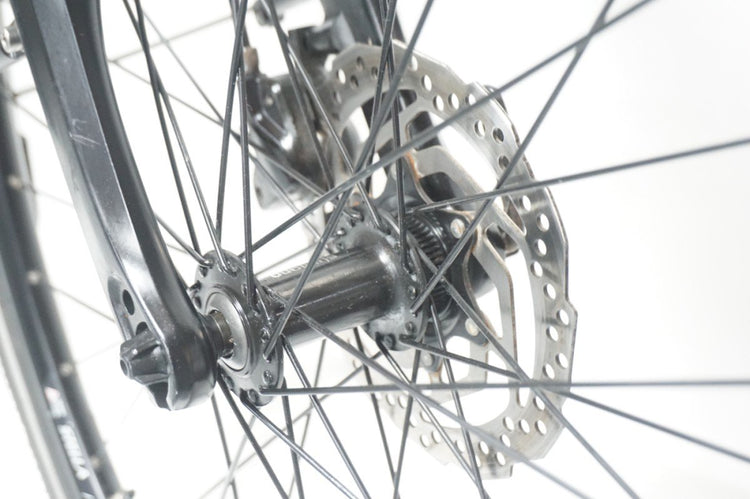 Stella Vincenza 53cm .