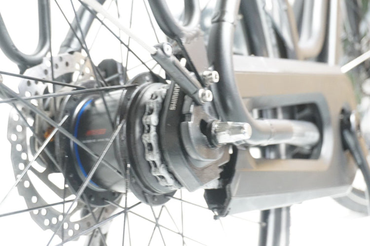 Stella Vincenza 53cm .