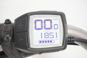 Gazelle Miss Grace White 54cm