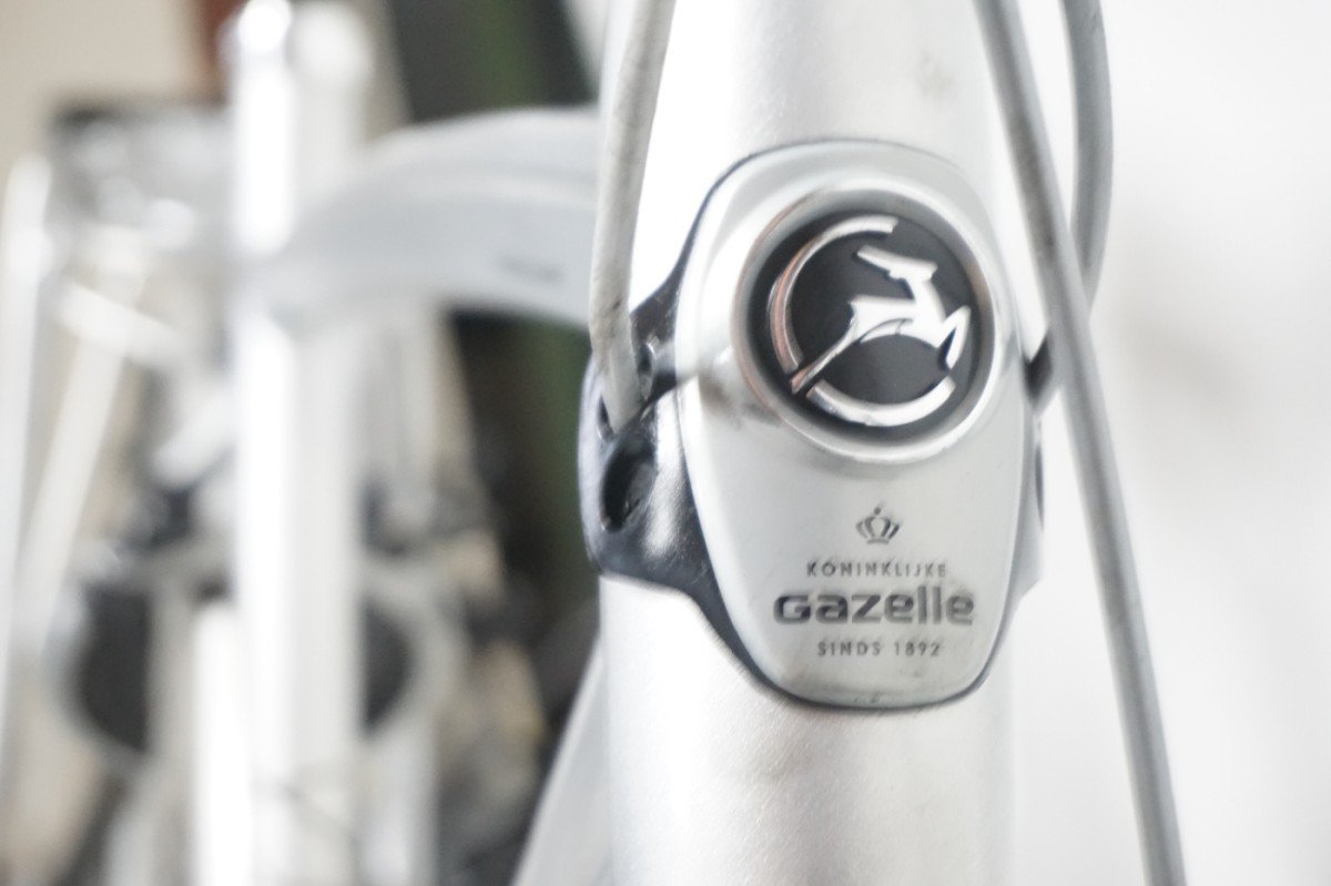 Gazelle Chamonix C8 57cm