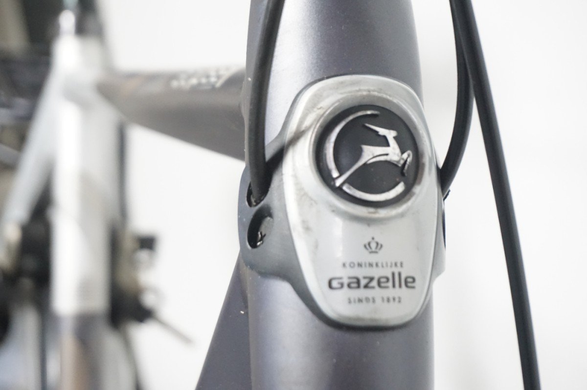 Gazelle Eclipse 57cm