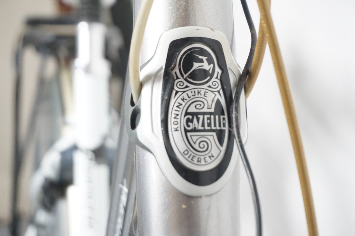 Gazelle Chamonix C7 49cm