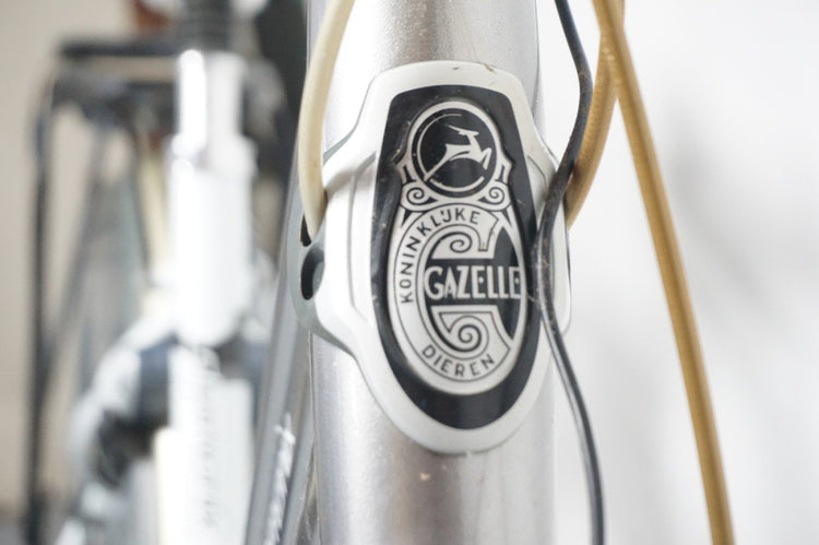 Gazelle Chamonix C7 49cm