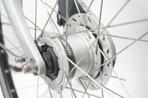 Gazelle Paris C7 53cm