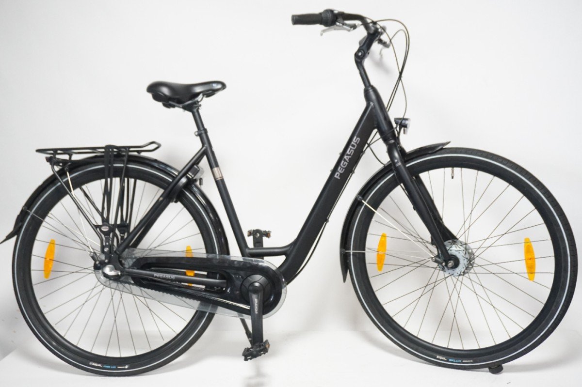 Pegasus Lucca 3 NL 55cm