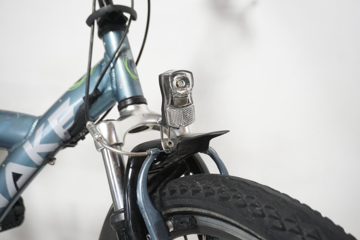 Batavus SNAKE Jongens 38cm