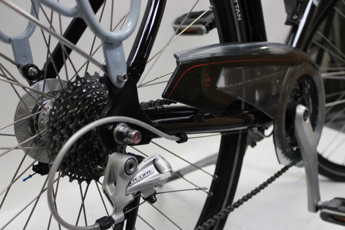 Gazelle Allure Limited Edition 53cm