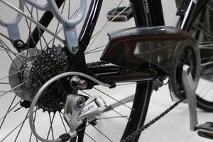 Gazelle Allure Limited Edition 53cm