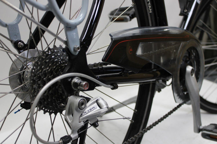 Gazelle Allure Limited Edition 53cm